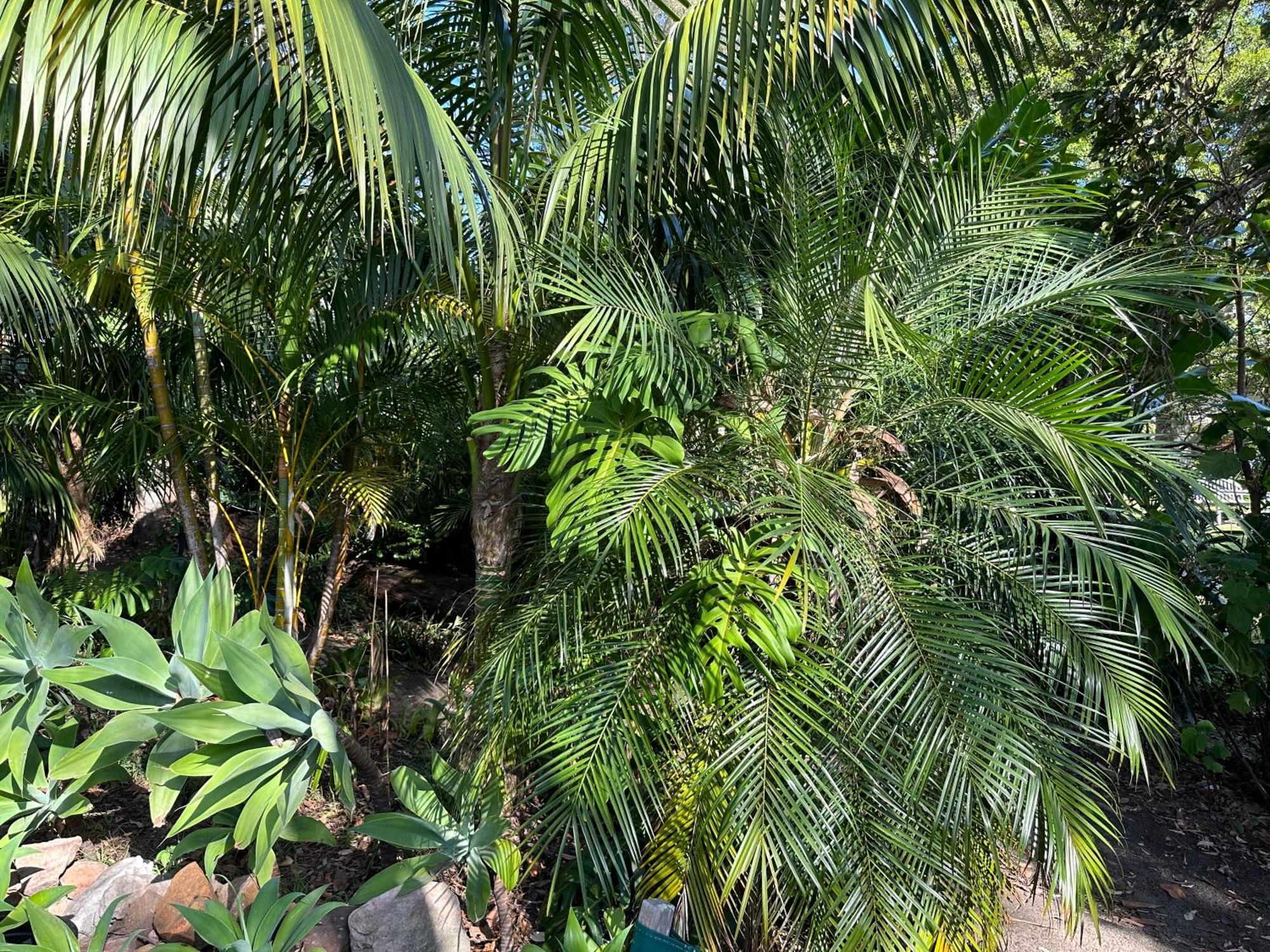 Palm Beach Bed & Breakfast Екстериор снимка